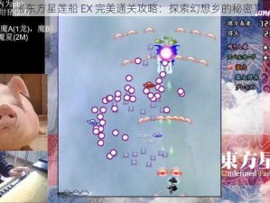 《东方星莲船 EX 完美通关攻略：探索幻想乡的秘密》