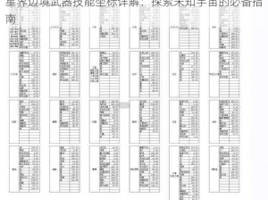 星界边境武器技能坐标详解：探索未知宇宙的必备指南