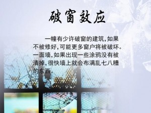 在窗户上 C 给别人看为什么会成为一种流行的行为？