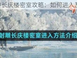 《射雕手游长庆楼密室攻略：如何进入及通关秘籍》