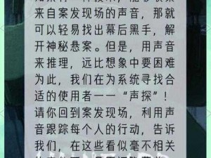 探索疑案追声全成就的秘密攻略：解开谜团，成就达成之路