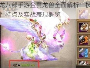 天龙八部手游金翼龙兽全面解析：技能属性特点及实战表现概览