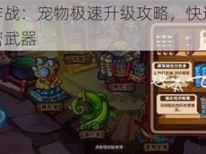 怪物大作战：宠物极速升级攻略，快速提升实力的秘密武器