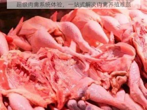 超级肉禽系统体验，一站式解决肉禽养殖难题