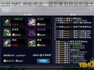 肉山后 NPC 神秘商店，提供稀有物品和强大增益