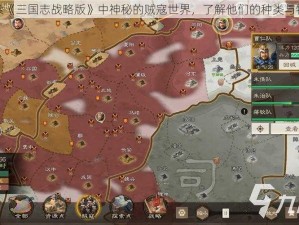 探索《三国志战略版》中神秘的贼寇世界，了解他们的种类与特点