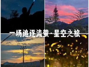 麻花星空 mV 是什么？为何能如此受欢迎？