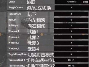 黑暗之魂 PC 版按键对应表：揭秘游戏操作技巧