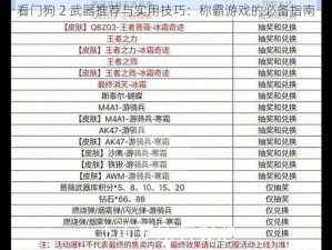 看门狗 2 武器推荐与实用技巧：称霸游戏的必备指南