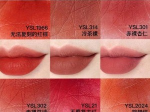 YSL 人千色 6696 为什么如此受欢迎？它有何独特之处？