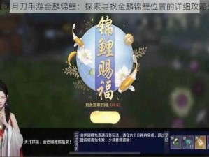 天涯明月刀手游金麟锦鲤：探索寻找金麟锦鲤位置的详细攻略分享