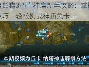 太极熊猫3朽亡神庙新手攻略：掌握关键技巧，轻松挑战神庙关卡