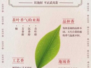 蜜茶1v.1h车厘茶(请详细描述蜜茶 1v.1h 车厘茶在口感、色泽、香气等方面的差异及各自特点)