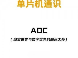 为什么 adc 免费观看总是找不到资源？如何才能找到可靠的 adc 免费观看渠道？