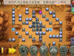 坚守阵地 2 草地三星攻略：策略与技巧全解析