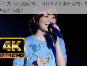 为什么找不到欧美 MV、日韩 MV 和国产网站？如何解决这个问题？