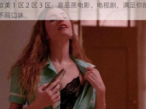 欧美 1 区 2 区 3 区，高品质电影、电视剧，满足你的不同口味