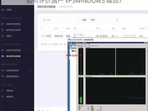 如何评价国产 VPSWINDOWS 精品？