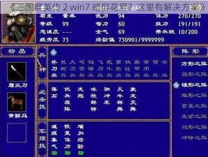 《三国群英传 2 win7 暗屏花屏？这里有解决方案》