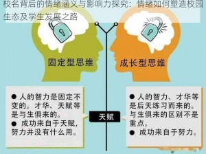 校名背后的情绪涵义与影响力探究：情绪如何塑造校园生态及学生发展之路