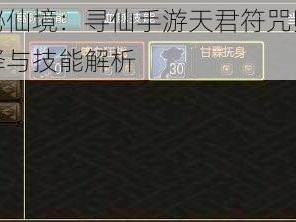 探索神秘仙境：寻仙手游天君符咒师的最佳侍宠选择与技能解析