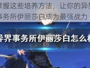 掌握这些培养方法，让你的异界事务所伊丽莎白成为最强战力