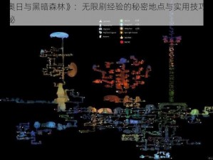 《奥日与黑暗森林》：无限刷经验的秘密地点与实用技巧大揭秘