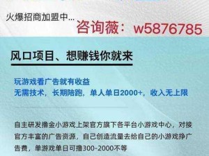 分享真实有效的网赚广告联盟平台，让你轻松在家赚钱