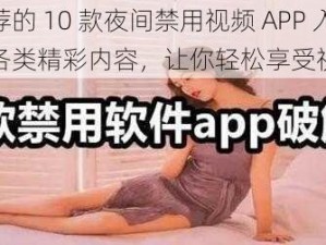 热门推荐的 10 款夜间禁用视频 APP 入口，汇聚各类精彩内容，让你轻松享受视觉盛宴