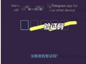 Crimaster犯罪大师验证码无法接收解决方案攻略：全面解析收不到验证码的困扰