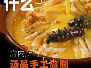 佛跳墙美食传奇：经典战损图的魅力探索与深度解析