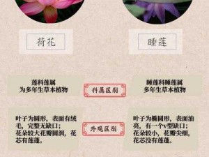 女性半夜莲花开放是怎么回事？会自愈吗？