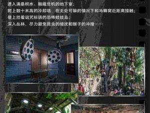 明日废区集市深度解析：生存者的秘密交易场所与独特生态揭秘