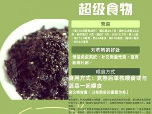 人狗胶配方大全：让狗狗健康长寿的秘密武器