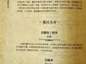 哈利波特魔法觉醒：全面解析黑檀木魔杖之神奇效果概览