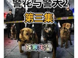 如何观看吕总与张警犬视频——产品使用指南