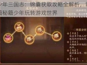 秘籍少年三国志：锦囊获取攻略全解析，掌握挑选秘籍秘籍少年玩转游戏世界