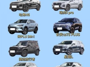 国产 SUV 精品一区二区 69，高品质、高性能，值得力推