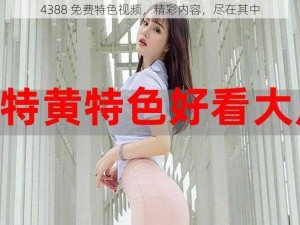 4388 免费特色视频，精彩内容，尽在其中