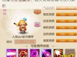 仙魔传圣兽篇章：通关攻略秘籍与技巧解析