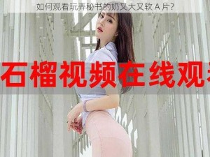 如何观看玩弄秘书的奶又大又软 A 片？