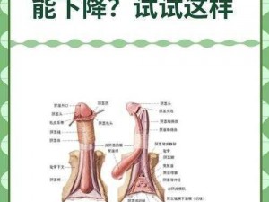 为什么 11 小男生 GAy 会自慰脱裤子？如何解决这个问题？