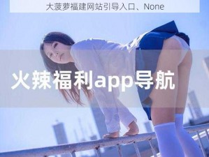 大菠萝福建网站引导入口、None