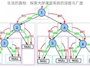 生活的真相：探索大学课堂系统的深度与广度