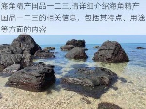 海角精产国品一二三,请详细介绍海角精产国品一二三的相关信息，包括其特点、用途等方面的内容