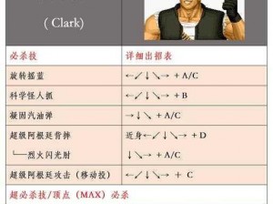 出招吧怪兽：安装流程与配置指南详解