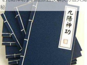 《九阳神功》闪退原因及解决办法大揭秘