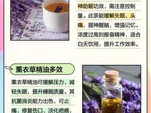 薰衣草研究所最新版有哪些新功能？如何使用薰衣草研究所最新版进行植物研究？