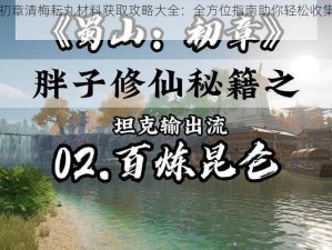 蜀山初章清梅耘丸材料获取攻略大全：全方位指南助你轻松收集所需材料