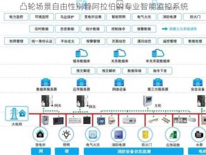 凸轮场景自由性别管阿拉伯的专业智能监控系统